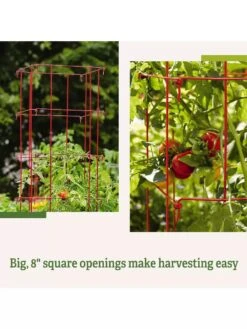 Tomato Cages, Set Of 4 6 Tomato Cages, Set Of 4 -Gardene Supply Sales 8587040 2