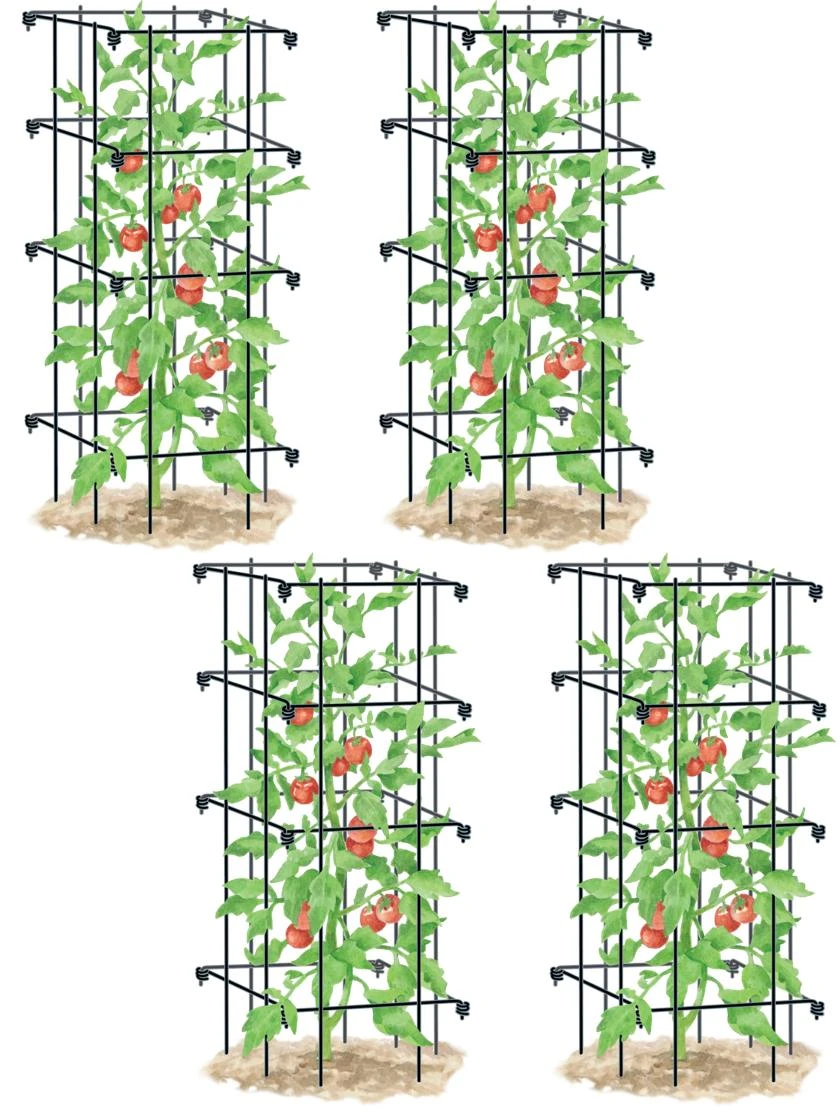 Tomato Cages, Set of 4 Tomato Cages, Set Of 4 -Gardene Supply Sales 8587040 BK 001E tif