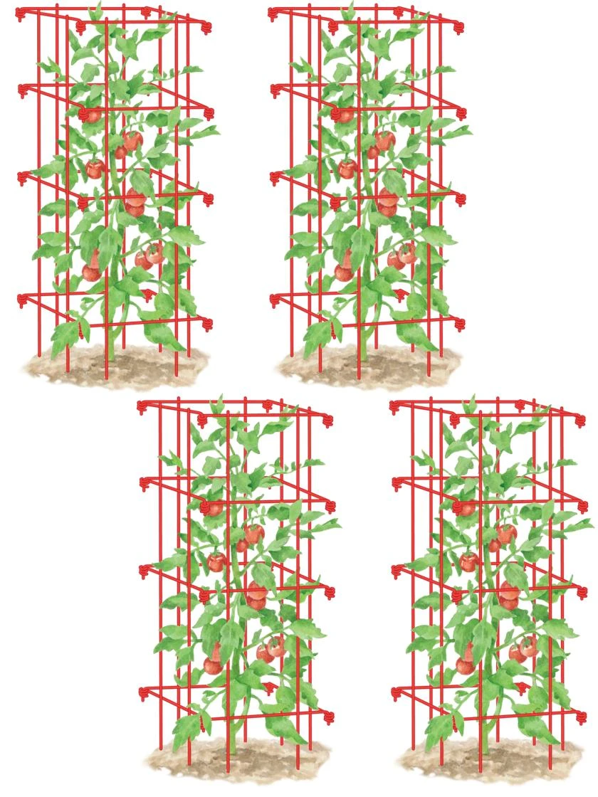 Tomato Cages, Set of 4 Tomato Cages, Set Of 4 -Gardene Supply Sales 8587040 RD 001E tomato cages tif