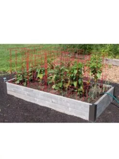 Pepper And Eggplant Cages, Set Of 3 5 Pepper And Eggplant Cages, Set Of 3 -Gardene Supply Sales 8587048 6008 3 4
