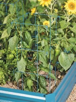 Pepper And Eggplant Cages, Set Of 3 2 Pepper And Eggplant Cages, Set Of 3 -Gardene Supply Sales 8587048 9792 tif