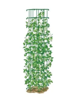 Bean Tower -Gardene Supply Sales 8587060 0008 GRN tif