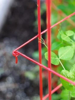 Tall Expandable Pea Trellis -Gardene Supply Sales 8587061 010 tif