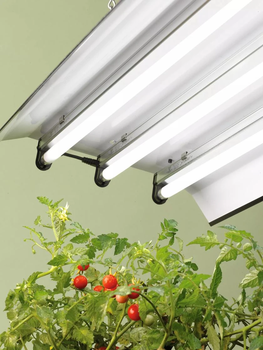 High Intensity Light Fixture High Intensity Light Fixture -Gardene Supply Sales 8587079 027 tif