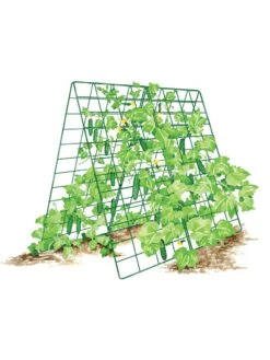 Deluxe Cucumber Trellis -Gardene Supply Sales 8587083 001 GRN tif