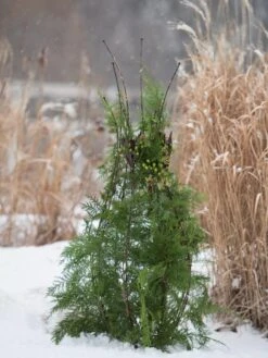 Jardin Pot Trellis -Gardene Supply Sales 8587120 009 tif