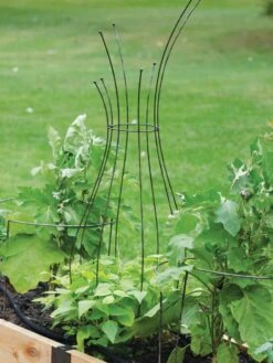 Jardin Pot Trellis -Gardene Supply Sales 8587120 7037 tif