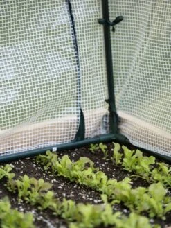 Protection Frame & Covers, 2' X 4' -Gardene Supply Sales 8587631 271 tif 1