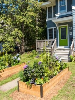 Zenith Folding Garden Supports, Set Of 2 3 Zenith Folding Garden Supports, Set Of 2 -Gardene Supply Sales 8587807 0801 tif