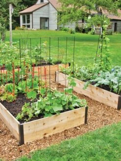 Featured Products 3 Deep Root Raised Beds, 14" Deep 4' Wide