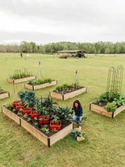 Deep Root Raised Beds, 14" Deep 4' Wide -Gardene Supply Sales 8587813 505 tif