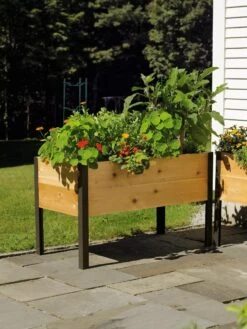 Elevated Planter Box, 2' X 4' -Gardene Supply Sales 8587823 704 tif