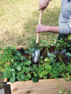 Gardener's Lifetime Raised Bed Trowel -Gardene Supply Sales 8588014 4084 tif