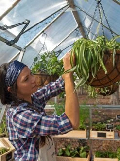 Canopia® By Palram Balance Greenhouse, 8' X 12' -Gardene Supply Sales 8588023 07V jpg