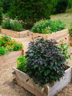 Farmstead Cedar Raised Garden Beds, 3' -Gardene Supply Sales 8588143 09V tif