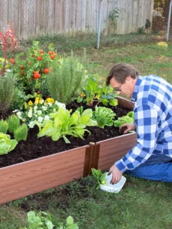Composite Raised Bed With 1" Boards, 11" 3 Composite Raised Bed With 1" Boards, 11" -Gardene Supply Sales 8588274 02V tif