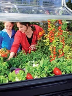 Canopia® By Palram Plant Inn™ Raised Bed Greenhouse, 4' X 4' -Gardene Supply Sales 8588308 03V tif