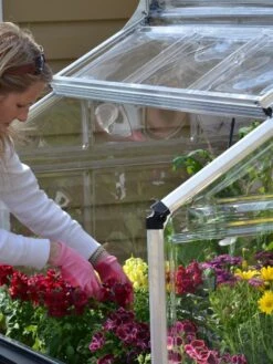 Canopia® By Palram Plant Inn™ Raised Bed Greenhouse, 4' X 4' -Gardene Supply Sales 8588308 04V tif