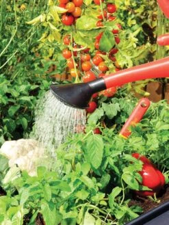 Canopia® By Palram Plant Inn™ Raised Bed Greenhouse, 4' X 4' -Gardene Supply Sales 8588308 06V tif