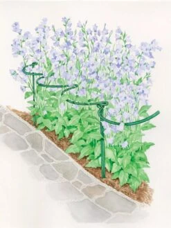 Tidy Path Supports -Gardene Supply Sales 8588403 003 1