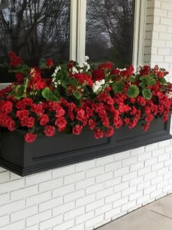 Fairfield Self-Watering Window Box, 5’ -Gardene Supply Sales 8588938 100V tif