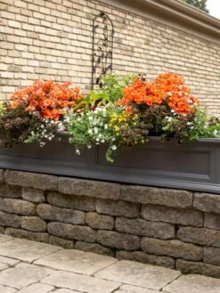 Fairfield Self-Watering Window Box, 5’ -Gardene Supply Sales 8588938 105V tif
