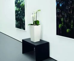 Lechuza® Cubico Color Tall Self-Watering Planters -Gardene Supply Sales 8589485 03V tif