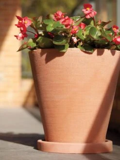 Universal Round Planter Saucers 3 Universal Round Planter Saucers -Gardene Supply Sales 8589526 001V tif