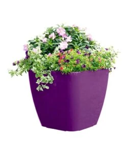 Viva Square Self-Watering Rolling Planter, 17.5" Diameter -Gardene Supply Sales 8589778PR 6126 tif