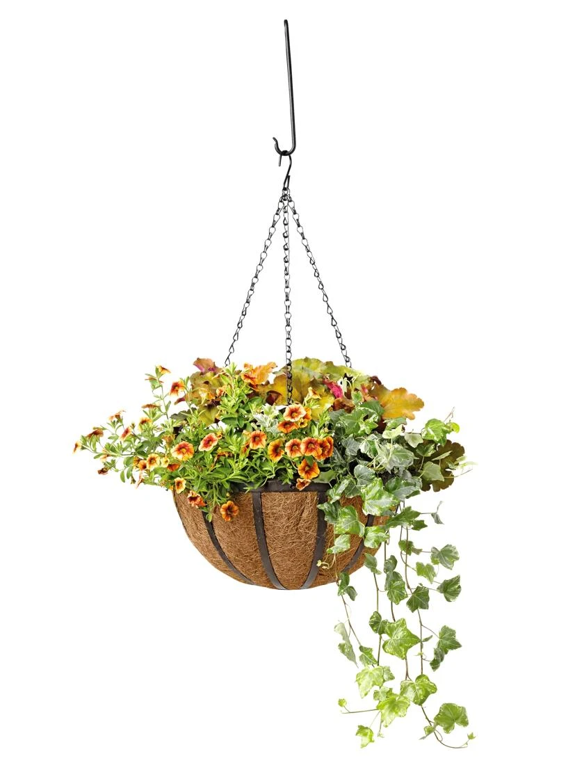 AquaSav™ Oxford Hanging Basket, 14" AquaSav™ Oxford Hanging Basket, 14" -Gardene Supply Sales 8589789 028 tif