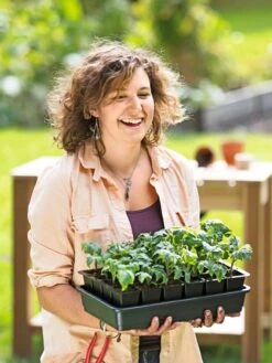 Growease Seed Starter Kit -Gardene Supply Sales 8589987 0446 tif