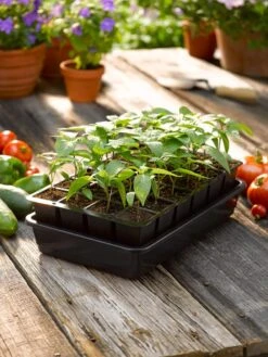 Growease Seed Starter Kit -Gardene Supply Sales 8589987 1148 tif