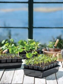 Growease Seed Starter Kit -Gardene Supply Sales 8589987 7871 tif