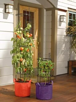Gardener's Best® Tomato Grow Bag Set -Gardene Supply Sales 8590013 170 tif