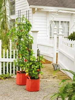 Gardener's Best® Tomato Grow Bag Set -Gardene Supply Sales 8590013 5090 tif