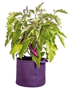 Gardener's Best® Universal Grow Bag -Gardene Supply Sales 8590024PR 214 tif
