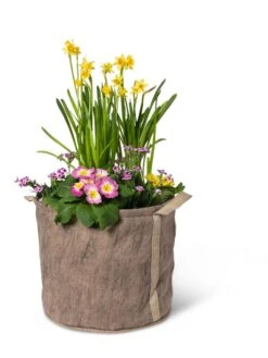 Gardener's Best® Universal Grow Bag -Gardene Supply Sales 8590024 7307 tif