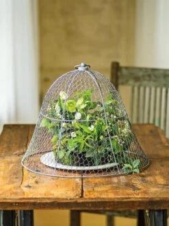 Chicken Wire Cloche -Gardene Supply Sales 8590210 1 tif