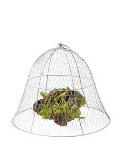 Chicken Wire Cloche -Gardene Supply Sales 8590210 675 tif
