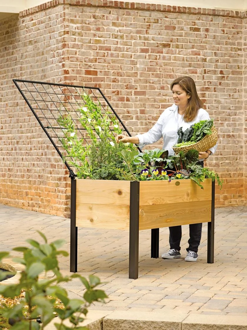 Elevated Planter Box and Space-Maker Pivoting Trellis Set, 2' x 4' Elevated Planter Box And Space-Maker Pivoting Trellis Set, 2' X 4' -Gardene Supply Sales 8590247 492 cedar planter box with trellis tif 1