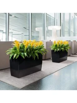 Lechuza® Cararo Rectangular Indoor Planter With Casters 4 Lechuza® Cararo Rectangular Indoor Planter With Casters -Gardene Supply Sales 8590295 01v