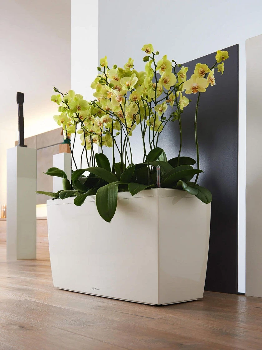 Lechuza® Cararo Rectangular Indoor Planter with Casters Lechuza® Cararo Rectangular Indoor Planter With Casters -Gardene Supply Sales 8590295 02v lechuza cararo rectangular indoor planter with casters