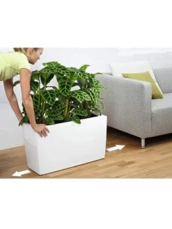 Lechuza® Cararo Rectangular Indoor Planter With Casters 3 Lechuza® Cararo Rectangular Indoor Planter With Casters -Gardene Supply Sales 8590295 03v