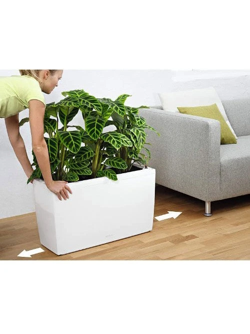 Lechuza® Cararo Rectangular Indoor Planter with Casters Lechuza® Cararo Rectangular Indoor Planter With Casters -Gardene Supply Sales 8590295 03v