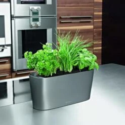 Lechuza® Delta Self-Watering Windowsill Planters -Gardene Supply Sales 8590298 02V tif