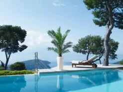 Lechuza® Delta Premium Self-Watering Planters -Gardene Supply Sales 8590299 04V tif