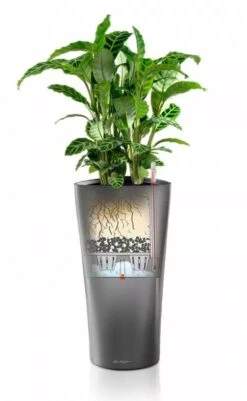 Lechuza® Delta Premium Self-Watering Planters -Gardene Supply Sales 8590299 05V tif