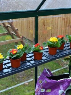 Canopia® By Palram Shelf Kit For Greenhouses, Set Of 2 Shelves -Gardene Supply Sales 8591033 09V jpg