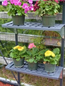 Canopia® By Palram Shelf Kit For Greenhouses, Set Of 2 Shelves -Gardene Supply Sales 8591033 11V jpg