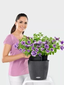 Lechuza® Nido Cottage Wicker Hanging Planter -Gardene Supply Sales 8591154GT 006V tif